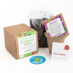 Kit de siembra - SOUVENIR x 10 unidades