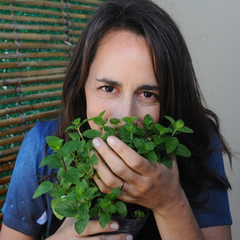 Taller HUERTA ONLINE