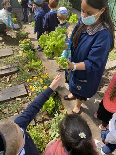 Programas de Educación Ambiental y Huerta - tienda online