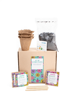 Kit de siembra FLORAL en internet