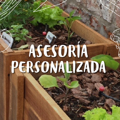 Asesoría