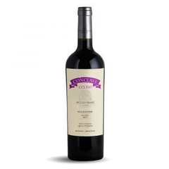 VINO CONCLAVE SELECCION MALBEC 2019 750ML