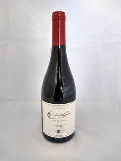 VINO ESCORIHUELA GASCON PINOT NOIR 750ML
