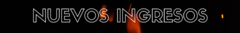 Banner de la categoría Nuevos ingresos