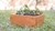 Maceta Frida - Armonia Hogar