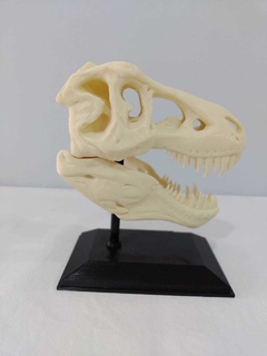 T-REX CRANEO - comprar online