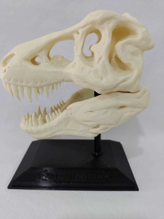 T-REX CRANEO