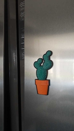 IMAN CACTUS 3