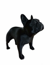 BULLDOG