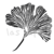 GINKO - comprar online