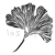 GINKO
