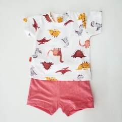 CONJUNTO LADRILLO G DE B