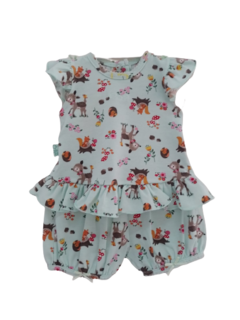 CONJUNTO GdeB