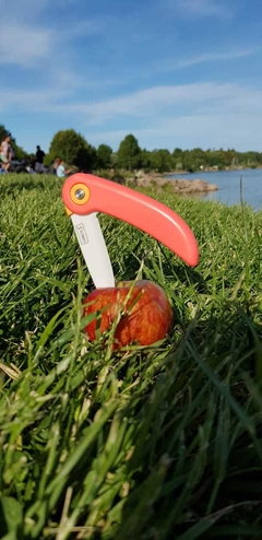 Cuchillo de cerámica PICNIC / NAVAJA - comprar online