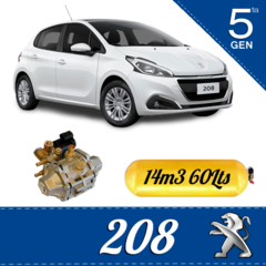 PEUGEOT 208 Equipo instalado GNC 5ta Generacion - comprar online