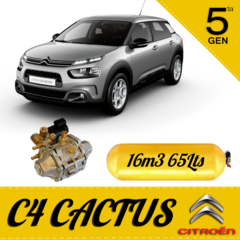 CITROEN C4 CACTUS Equipo instalado GNC 5ta Generacion en internet