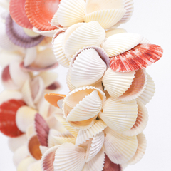 GUIRLANDA CONCHAS - comprar online