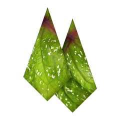 GUARDANAPO FOLHA VERDE UN