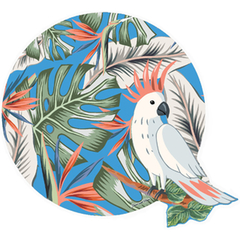 AMERICANO CACATUA AZUL UN