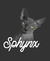 Camiseta de animais, gato Sphynx