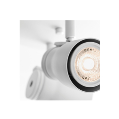 AXUS 2L - comprar online