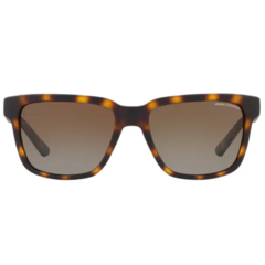 AE 4026S Marron Polarizado - comprar online