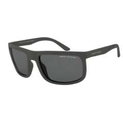 AE 4084S Gris Polarizado