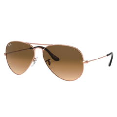 Rayban 3025 Aviator x Team Wang 62