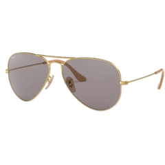 Rayban 3025 Evolve Gris 55