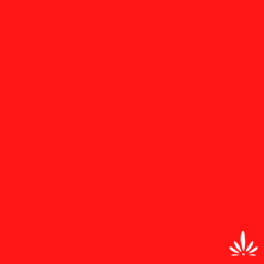 Banner de la categoría Péndulo Hebreo