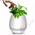 Maceta Parlante Bluetooth Led - comprar online