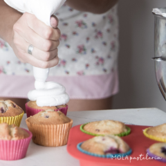 Muffins clásicos - comprar online