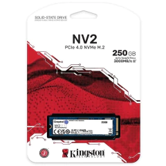 DISCO SSD KINGSTON SNV2S 250 GB M.2 NVME (SNV2S/250G)