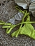 Biquini Tiras Volty - Citric - comprar online