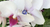 Banner rotativo 5