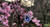 Banner rotativo 8