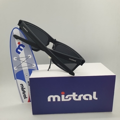MISTRAL en internet