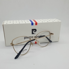 PIERRE CARDIN PIN UP en internet