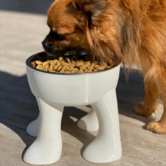 COMEDERO PATITAS WHITE en internet