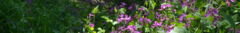 Banner de la categoría Verano