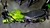 BENELLI 302 S 2022 / 12800 km - comprar online