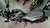 BAJAJ DOMINAR 400 2022 / 3500 km - comprar online