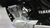 YAMAHA YBR 125 2019 / 6022 km en internet