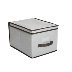Caja Organizadora con Tapa Grande - Ref : A3433290