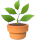 plantita