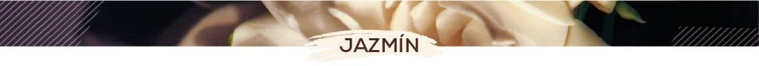 JAZMIN