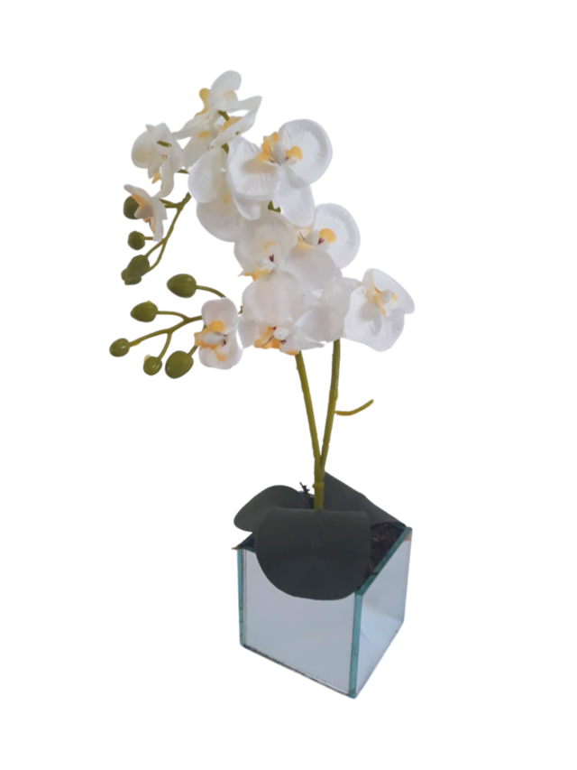 Arranjo orquídeas branca vaso vidro espelhado