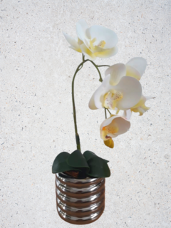 Arranjo Orquídeas Branca No Vaso De Cerâmica Prateado na internet