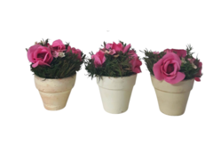 kit 3 mini arranjos com flores secas - comprar online