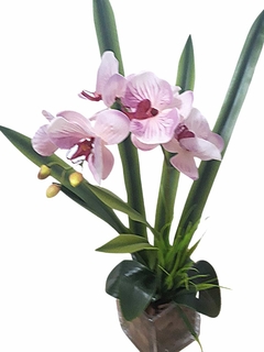 Arranjo orquídeas rosas de silicone no vaso de vidro na internet